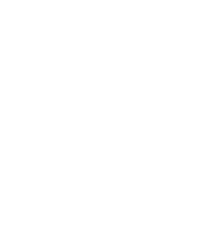 Sheffield Wednesday FC academy logo