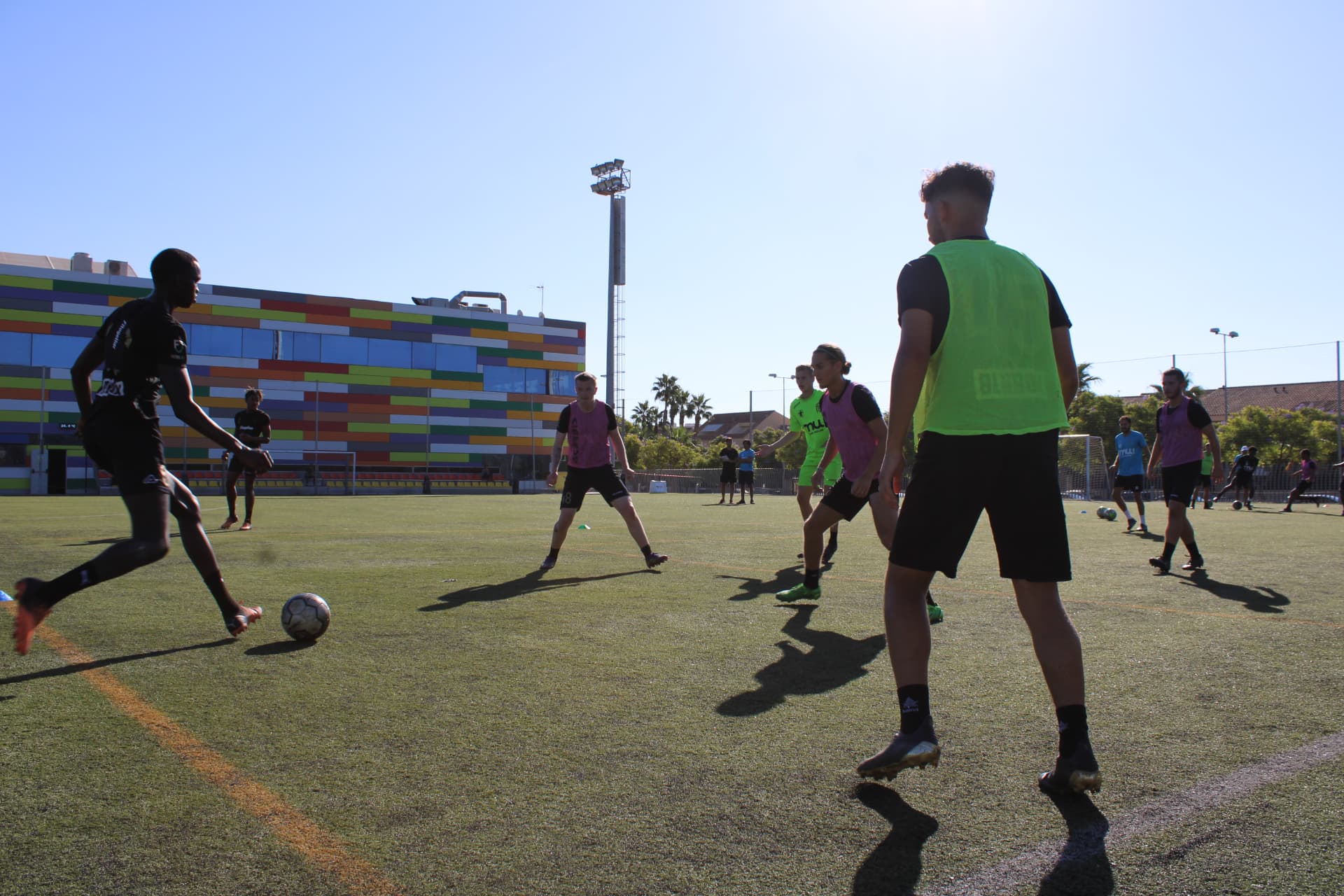 Professional & Elite Academies